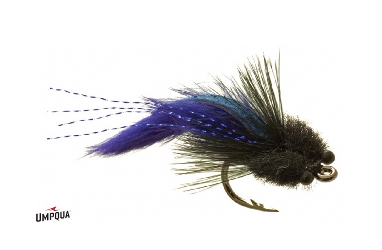 Tarpon Toad
